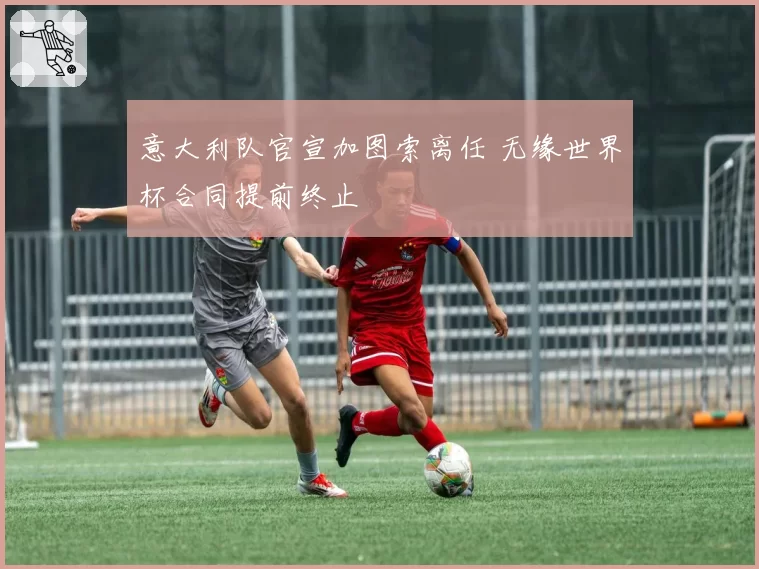 意大利队官宣加图索离任 无缘世界杯合同提前终止