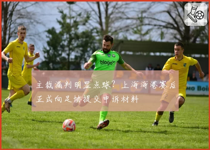 主裁漏判明显点球？上海海港赛后正式向足协提交申诉材料