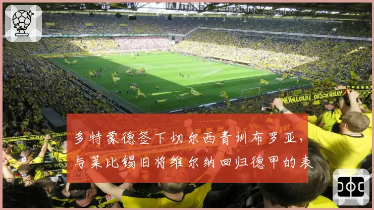 多特蒙德签下切尔西青训布罗亚，与莱比锡旧将维尔纳回归德甲的表现展望