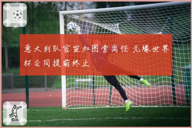 意大利队官宣加图索离任 无缘世界杯合同提前终止