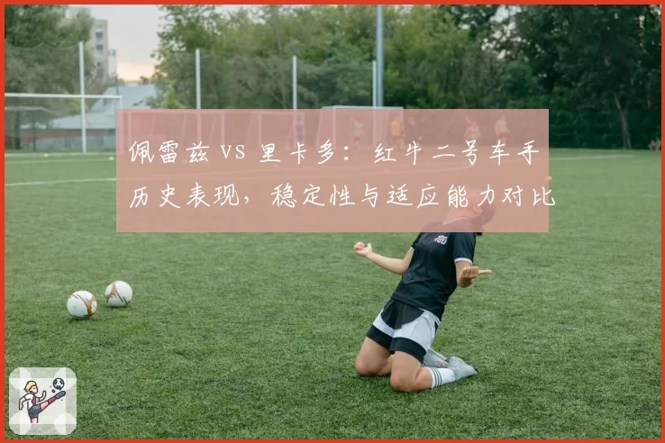 佩雷兹 vs 里卡多：红牛二号车手历史表现，稳定性与适应能力对比